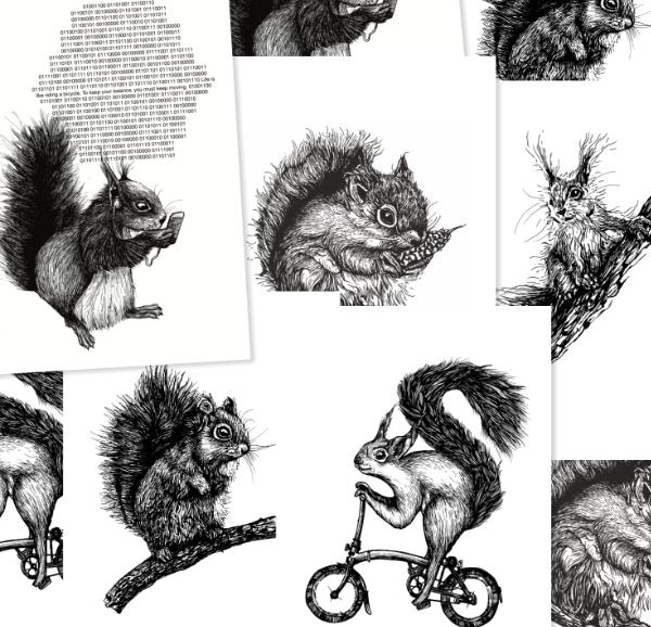 Postkartenset mit Eichhörnchen/Squirrel Motiven, 10 Karten: Im Set befinden sich jeweils zwei Karten der Motive:

- The Geek
- Kleines Eichhörnchen / Squirrel
- Aufmerksames Eichhörnchen
- Radfahren / Cycling
- Baby Eichhörnchen

Acht Postkarten im Format DIN A6 (148 x 105 mm), 280 g/qm Chromokarton einseitig, Digitaldruck