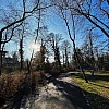 Lange Schatten. Ein Weg im Park. Links Sträucher, rechts eine Wiese.