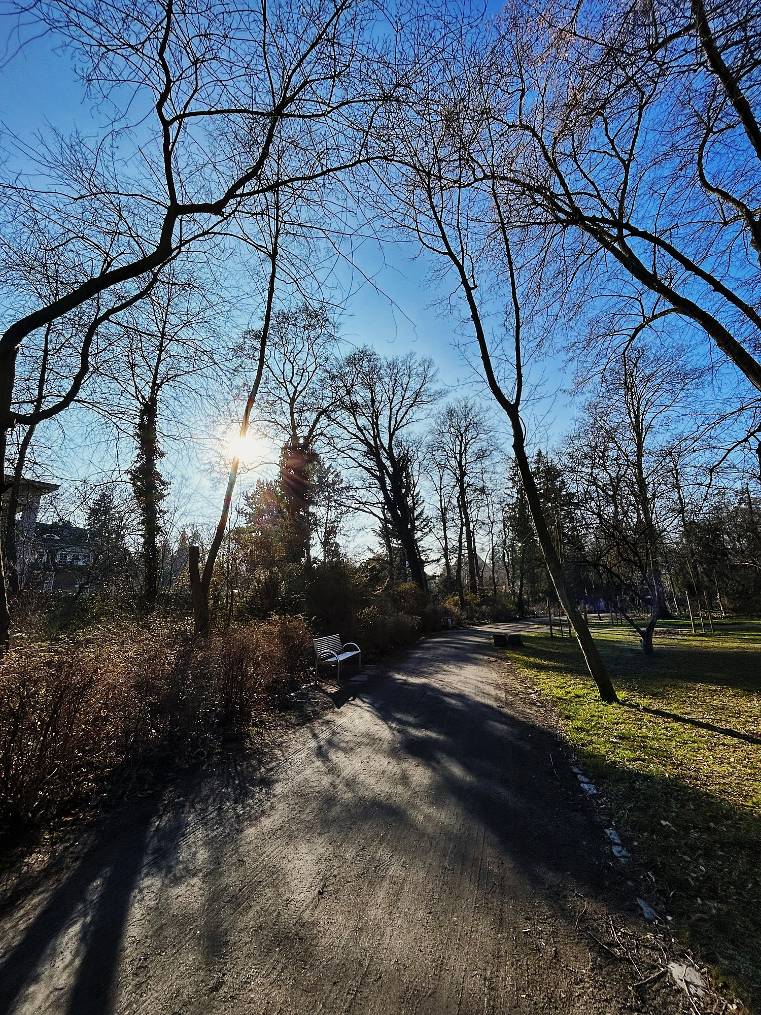 Lange Schatten. Ein Weg im Park. Links Sträucher, rechts eine Wiese.