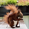 Das Bild zeigt ein braunes Eichhörnchen, das auf einem Holztisch sitzt. Es hat eine buschige Schwanzspitze und hält eine Nuss in seinen Pfoten. Im Hintergrund sind grüne Pflanzen zu sehen, die darauf hinweisen, dass sich das Eichhörnchen in einer natürlichen Umgebung befindet.