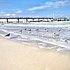 Einige Möwen stehen verteilt in der schäumenden Brandung der Ostsee vor der Seebrücke von Wustrow. Es ist sonnig.