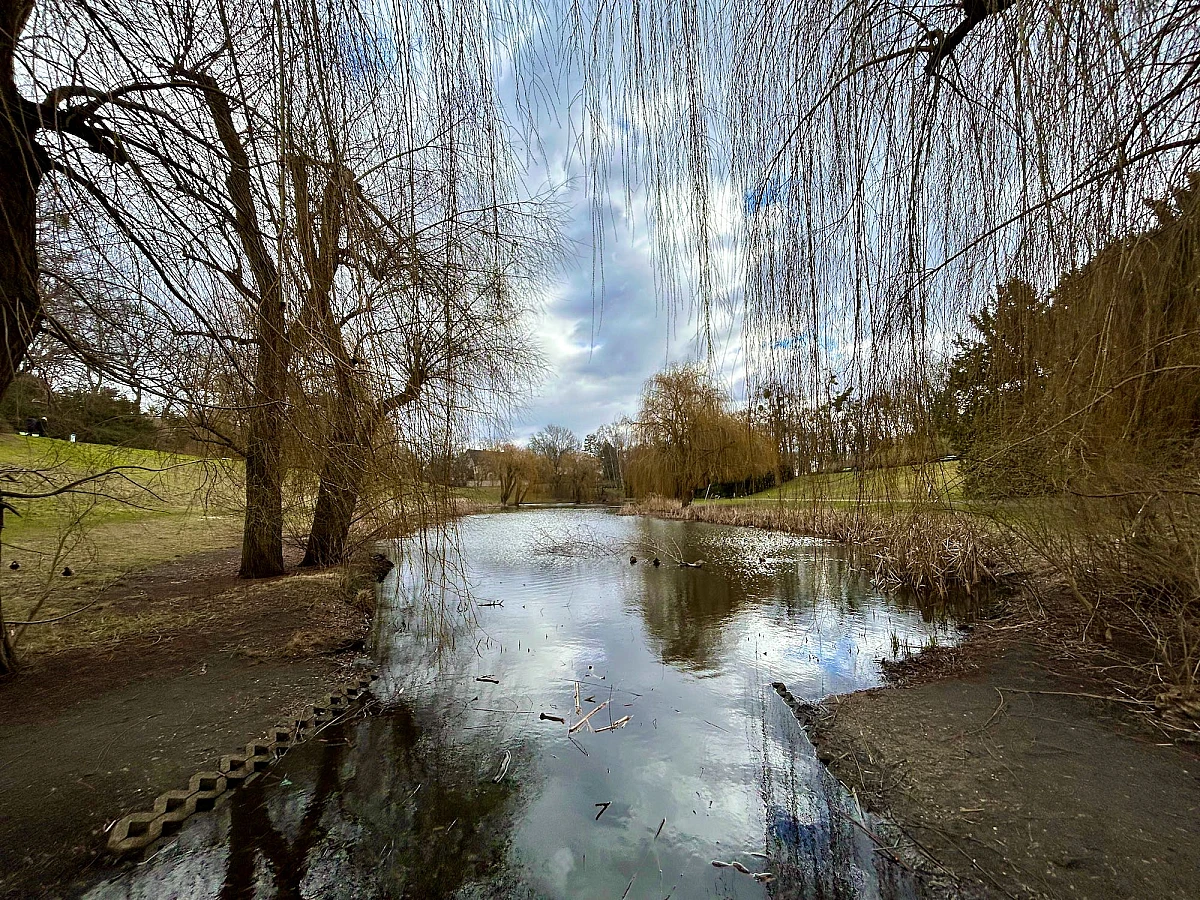 Foto eines Teiches. Am Ufer kahle Bäume und Sträucher, der Himmel ist wolkenverhangen.