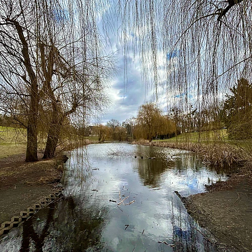 Foto eines Teiches. Am Ufer kahle Bäume und Sträucher, der Himmel ist wolkenverhangen.