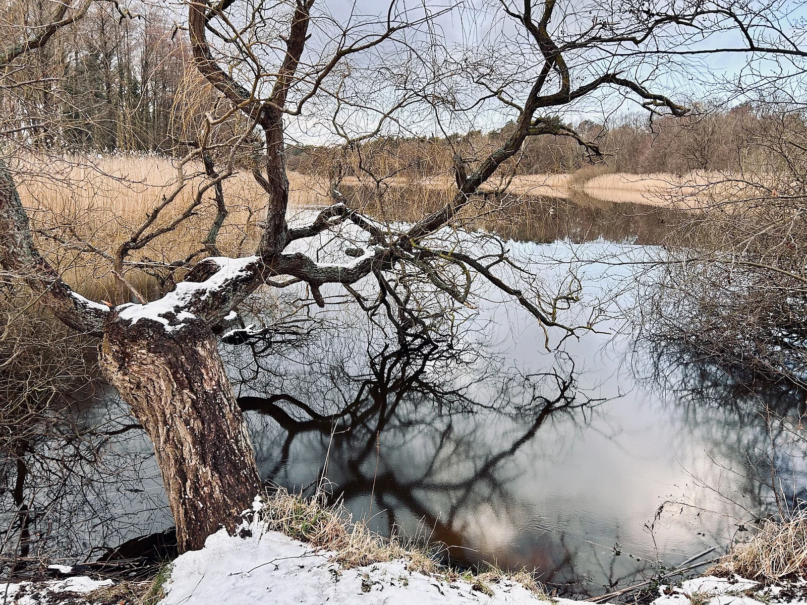 Blick auf den Prerowstrom. Der Himmel ist bedeckt, es liegt Schnee.