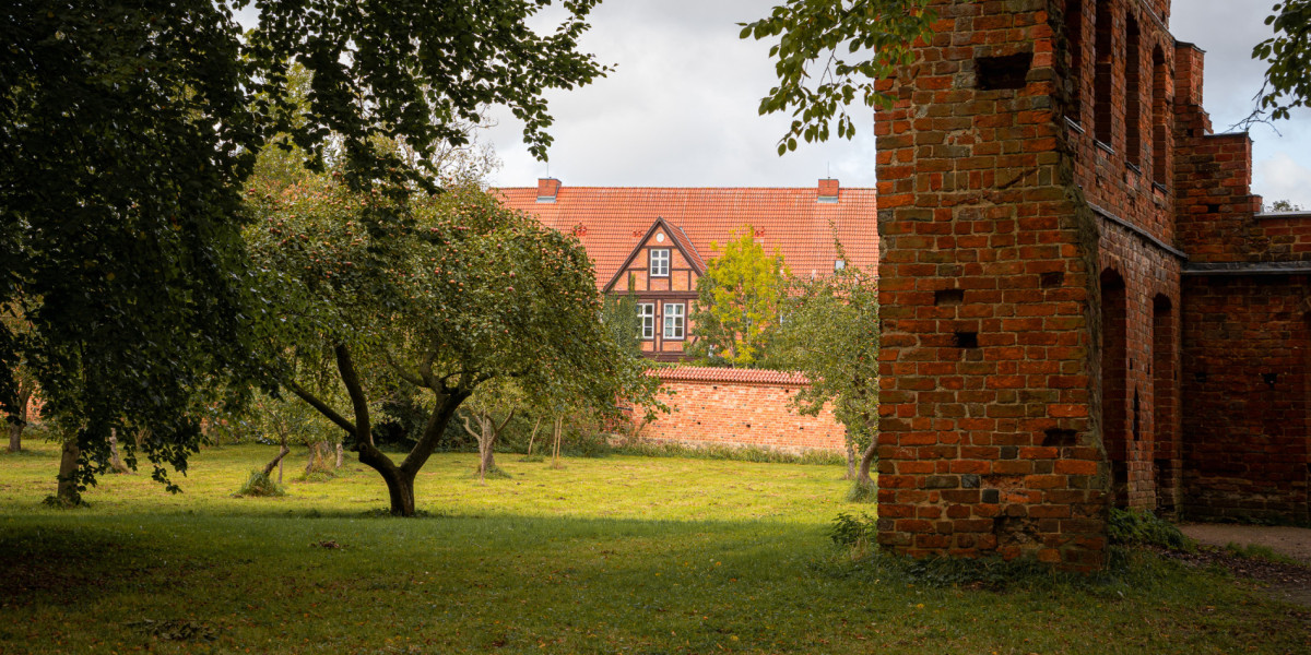 Blick auf den Klosterpark