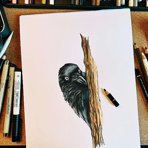Auf einer Schreibtischunterlage aus Kork liegt mittig die Zeichnung einer Dohle. Rings herum sind Utensilien verteilt: Polychromos, Fineliner, Bleistifte und ein Pinsel.