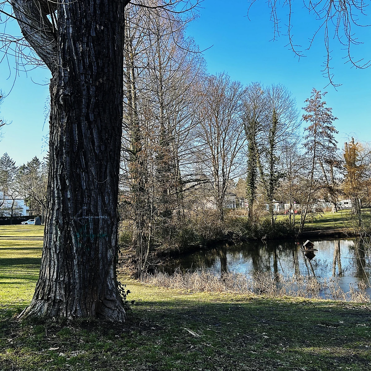 Park mit kleinem Teich