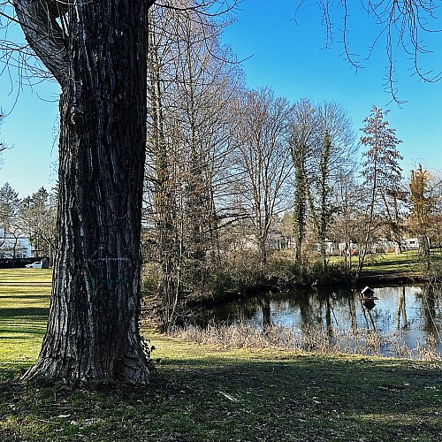 Park mit kleinem Teich