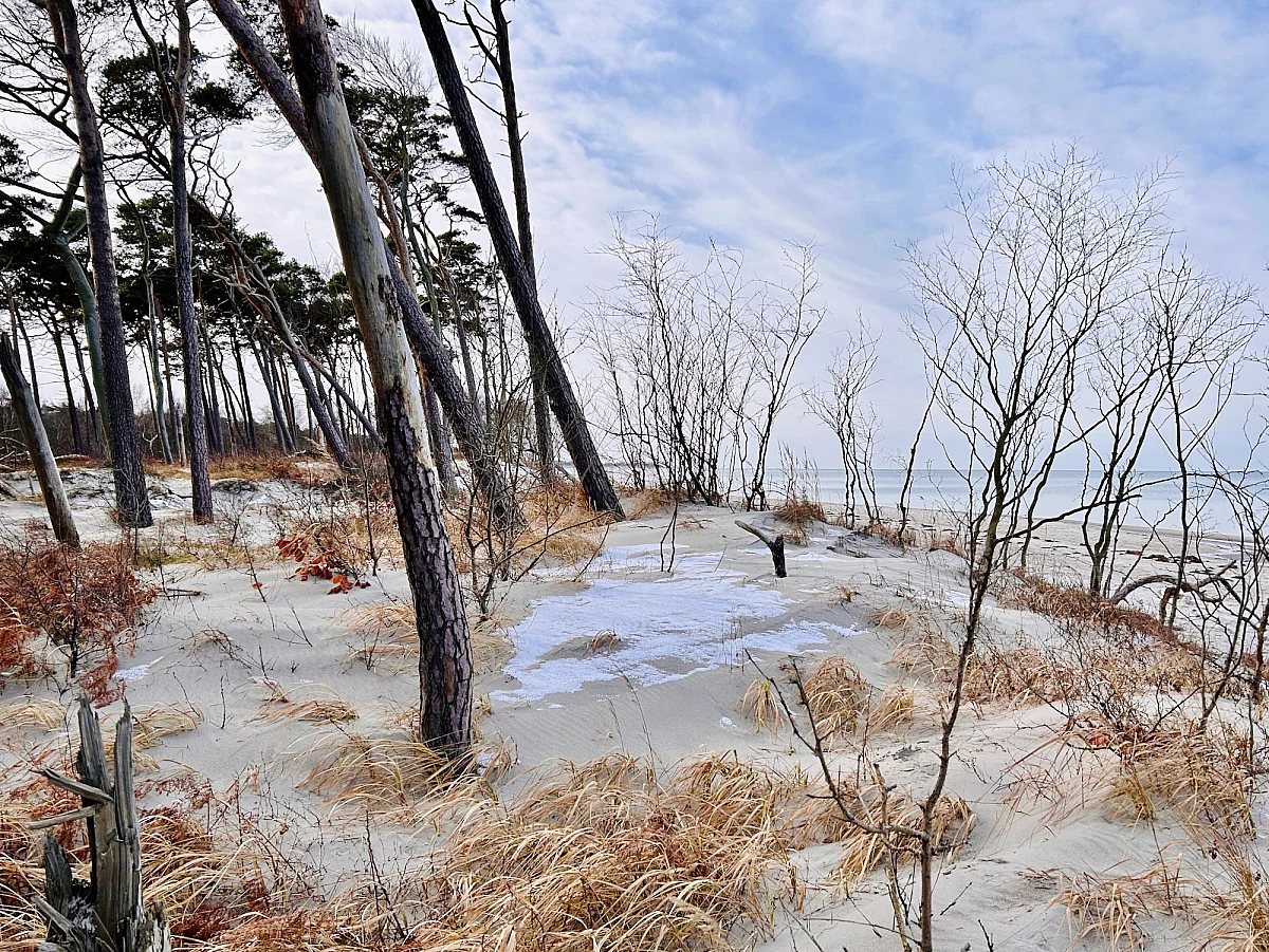 Strandzugang am Weststrand. Windfüchter stehen auf leicht verschneiten Dünen.