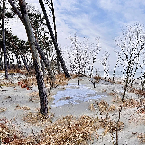 Strandzugang am Weststrand. Windfüchter stehen auf leicht verschneiten Dünen.