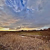 Blick auf den Wieder Bodden mit viel Schilf. Die Sonne geht unter. Der Himmel ist wolkenverhangen.