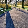 Foto eines Parks, wo man auf dem Weg die langen Schatten der Bäume sehen kann.