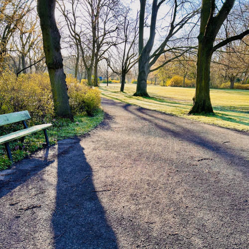 Foto eines Parks, wo man auf dem Weg die langen Schatten der Bäume sehen kann.