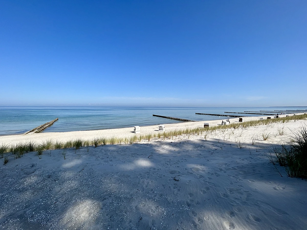 Blick auf Strand, Strandrosen und den Horizont der Ostsee