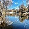 Winterliche Runde durch den Thielpark