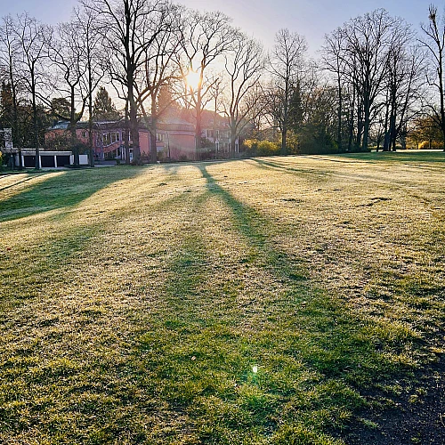 Foto in Gegenlicht. Auf einer Wiese sind lange Schatten von Bäumen zu sehen.