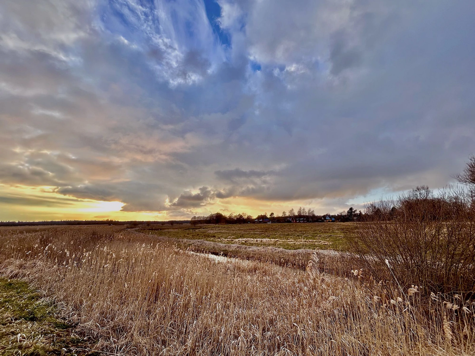 Blick auf den Wieder Bodden mit viel Schilf. Die Sonne geht unter. Der Himmel ist wolkenverhangen.