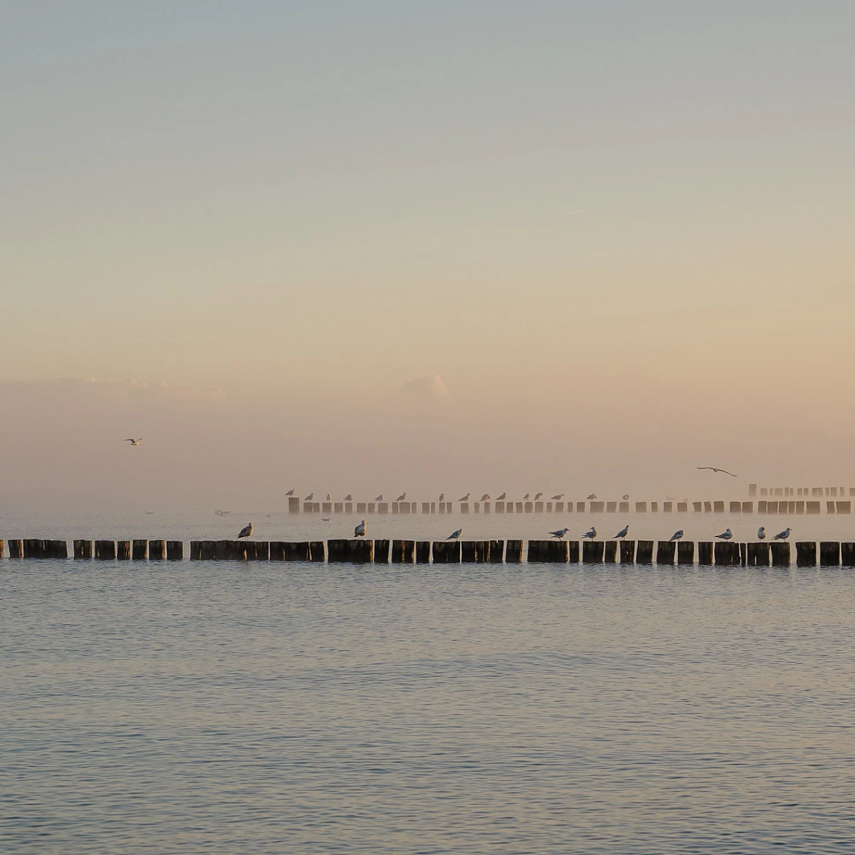 Blick auf die Ostsee im Nebel