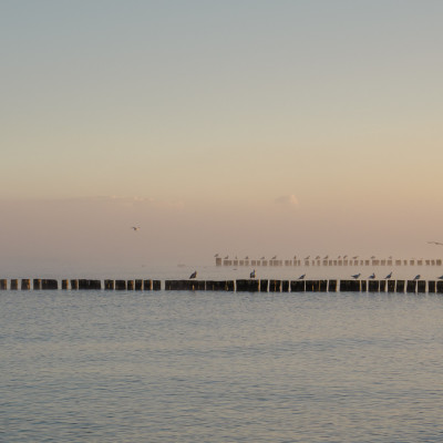 Blick auf die Ostsee im Nebel