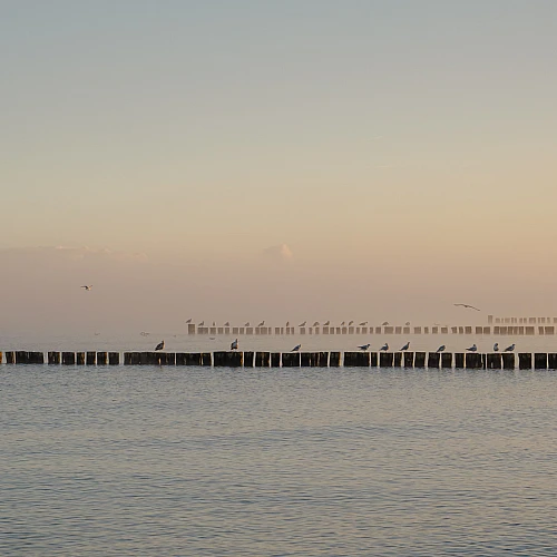 Blick auf die Ostsee im Nebel