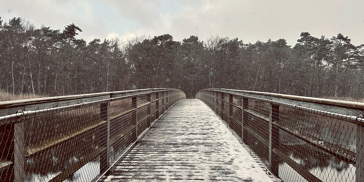 Blick auf die mit Schnee bedeckte Brücke über den Prerower Strom an deren Ende sich ein Waldgebiet anschließt. Der Himmel ist bedeckt. Kleine Schneeflocken sind in der Luft.