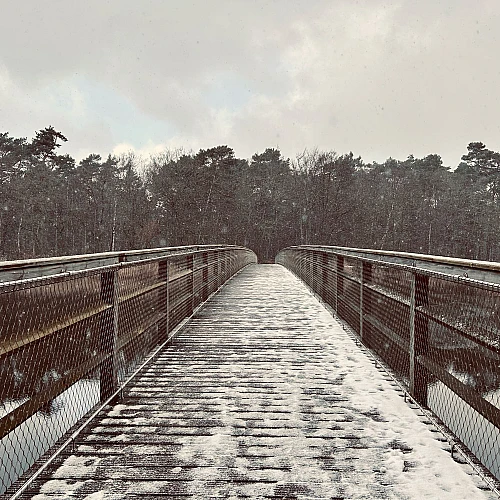 Blick auf die mit Schnee bedeckte Brücke über den Prerower Strom an deren Ende sich ein Waldgebiet anschließt. Der Himmel ist bedeckt. Kleine Schneeflocken sind in der Luft.