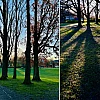 Ein zweigeteiltes Bild. Beide Szenen zeigen Bäume und Schatten im Gegenlicht bei kaltem Sonnenlicht am Morgen.