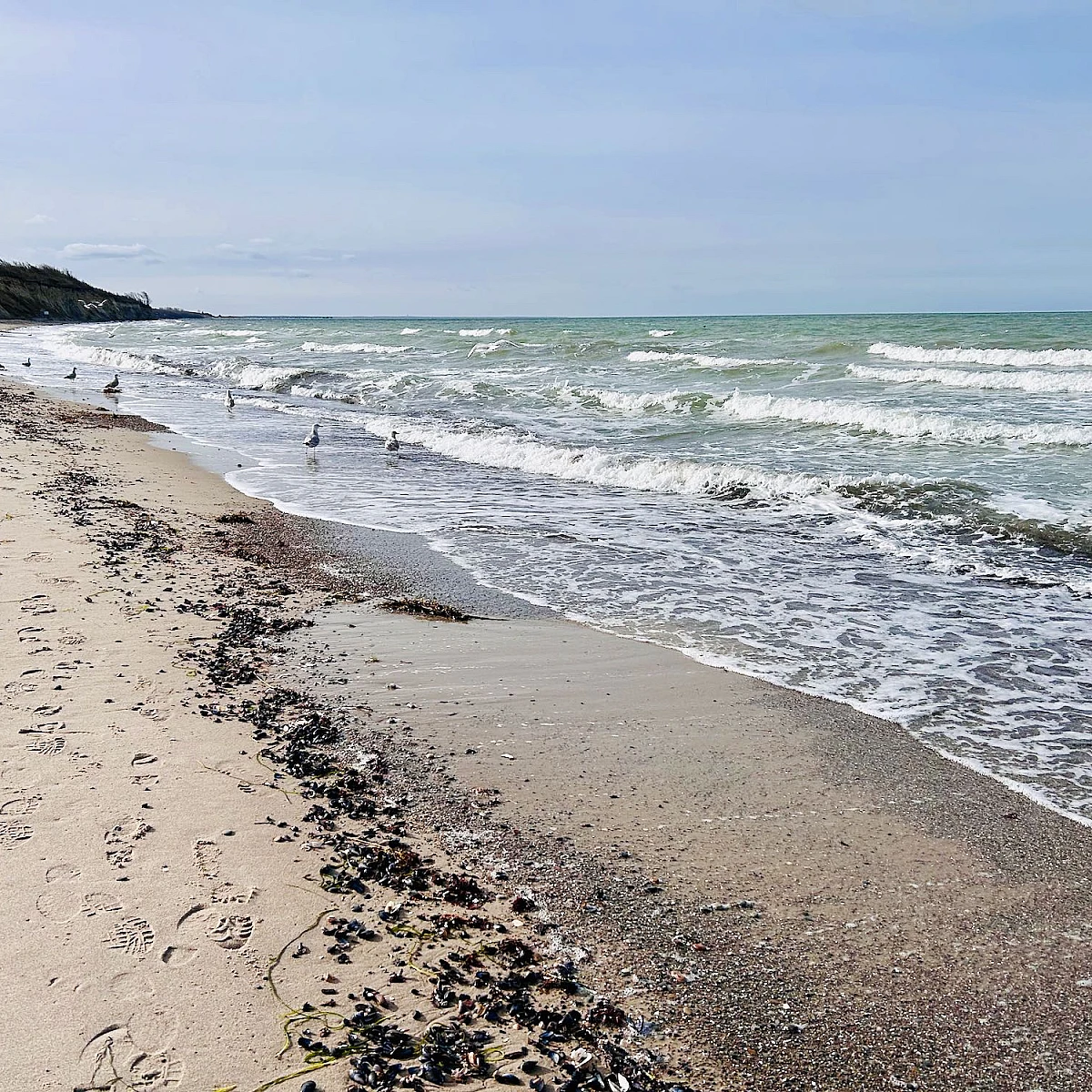 Diagonal geteilt links der nasse Strand, rechts das stürmische Meer mit blauem Himmel.