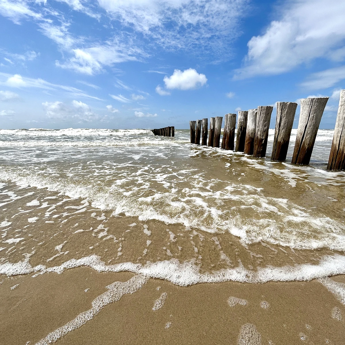 Rechts zieht sich vom Horizon zum Bildrand eine Reihe Holzbuhnen. Das Bild ist horizontal geteilt in ein Drittel Himmel, zwei Drittel Meer mit leichter auslaufender Brandung.