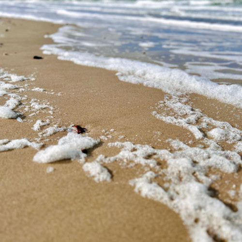 Weißer Schaum auf braunem Strandsand.
