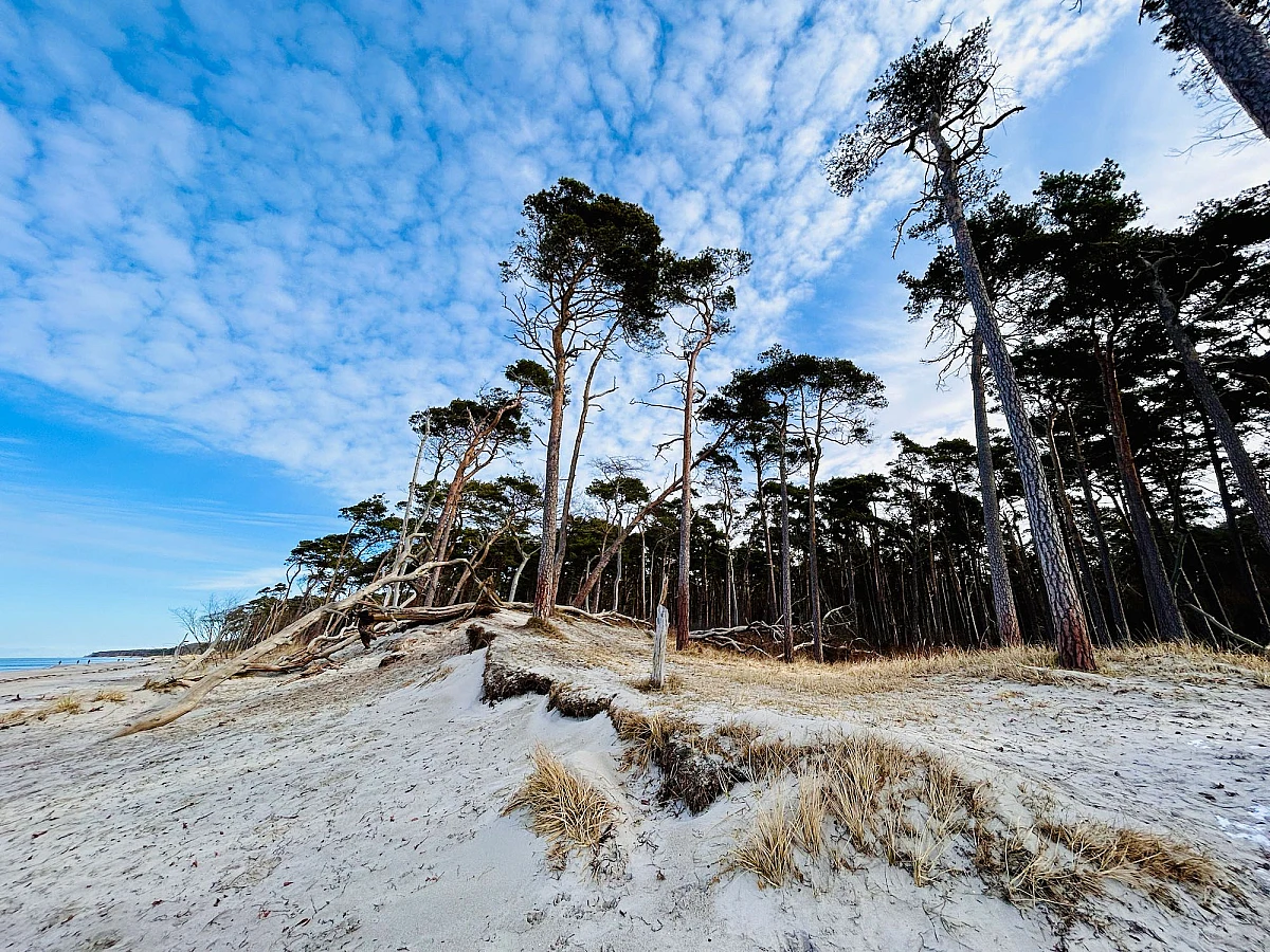 Blick auf die ruhige Ostsee, die ebenso wie der Himmel blau ist. Leichte Schleierwolken ziehen zum Horizont.