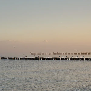 Blick auf die Ostsee im Nebel