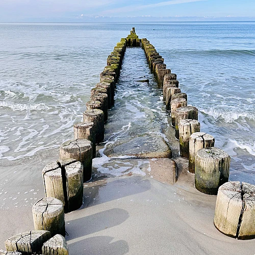 Frontaler Blick auf eine zweigeteilte Buhne, die in die Ostsee ragt.
