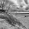 Schwarzweiß-Aufnahme der Ostsee. Dünengras und Windflüchter im Gegenlicht