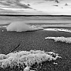 Schwarzweiß-Aufnahme der Ostsee. Im Vordergrund sind Häufchen von Meerschaum auf dem Strand zu sehen.