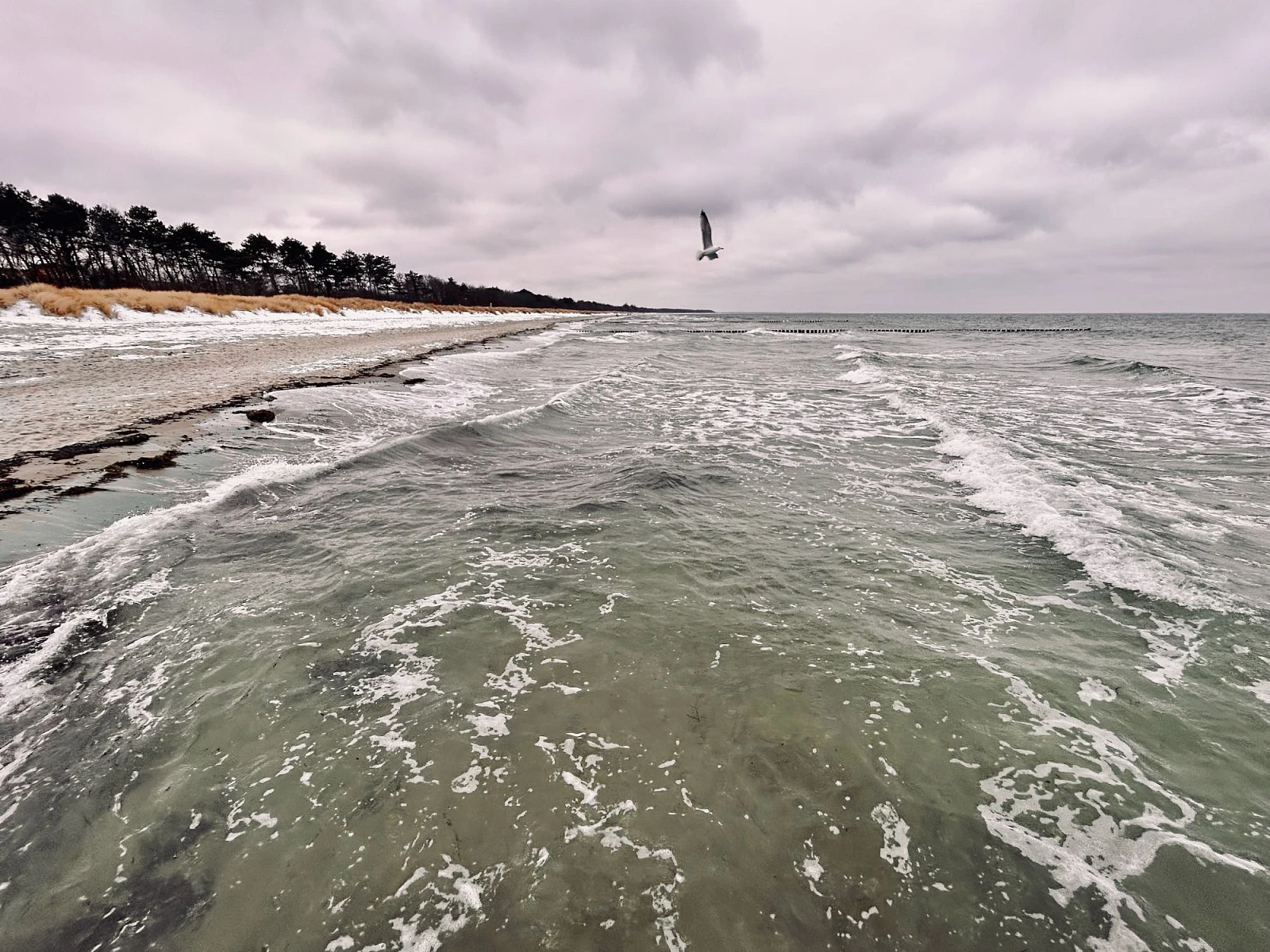 Zwei Drittel stürmisches grünes Meer, ein Drittel wolkenverhangener Himmel. Eine Möwe ist on der Luft.