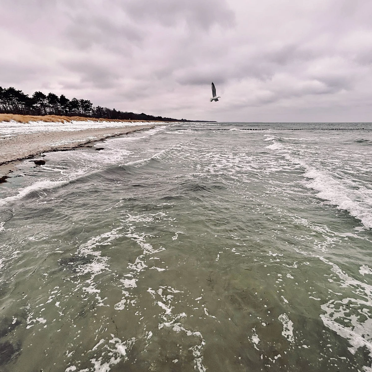 Zwei Drittel stürmisches grünes Meer, ein Drittel wolkenverhangener Himmel. Eine Möwe ist on der Luft.