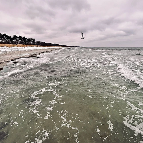 Zwei Drittel stürmisches grünes Meer, ein Drittel wolkenverhangener Himmel. Eine Möwe ist on der Luft.