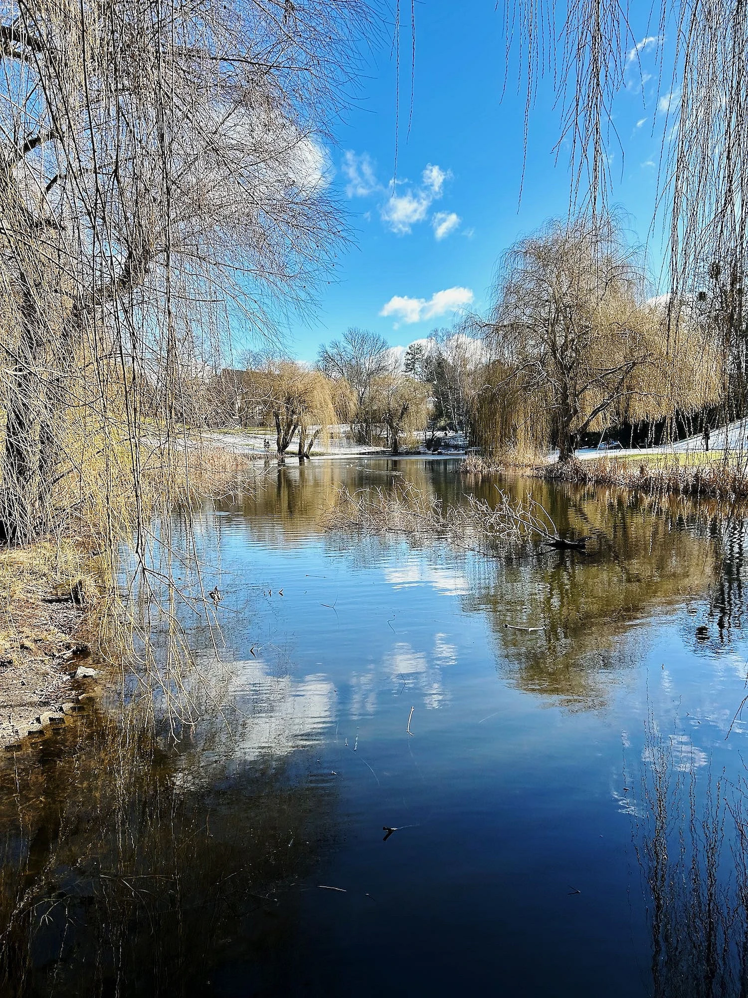 Winterliche Runde durch den Thielpark