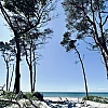 Blick durch Windflüchter auf den Horizont der Ostsee bei blauem Himmel