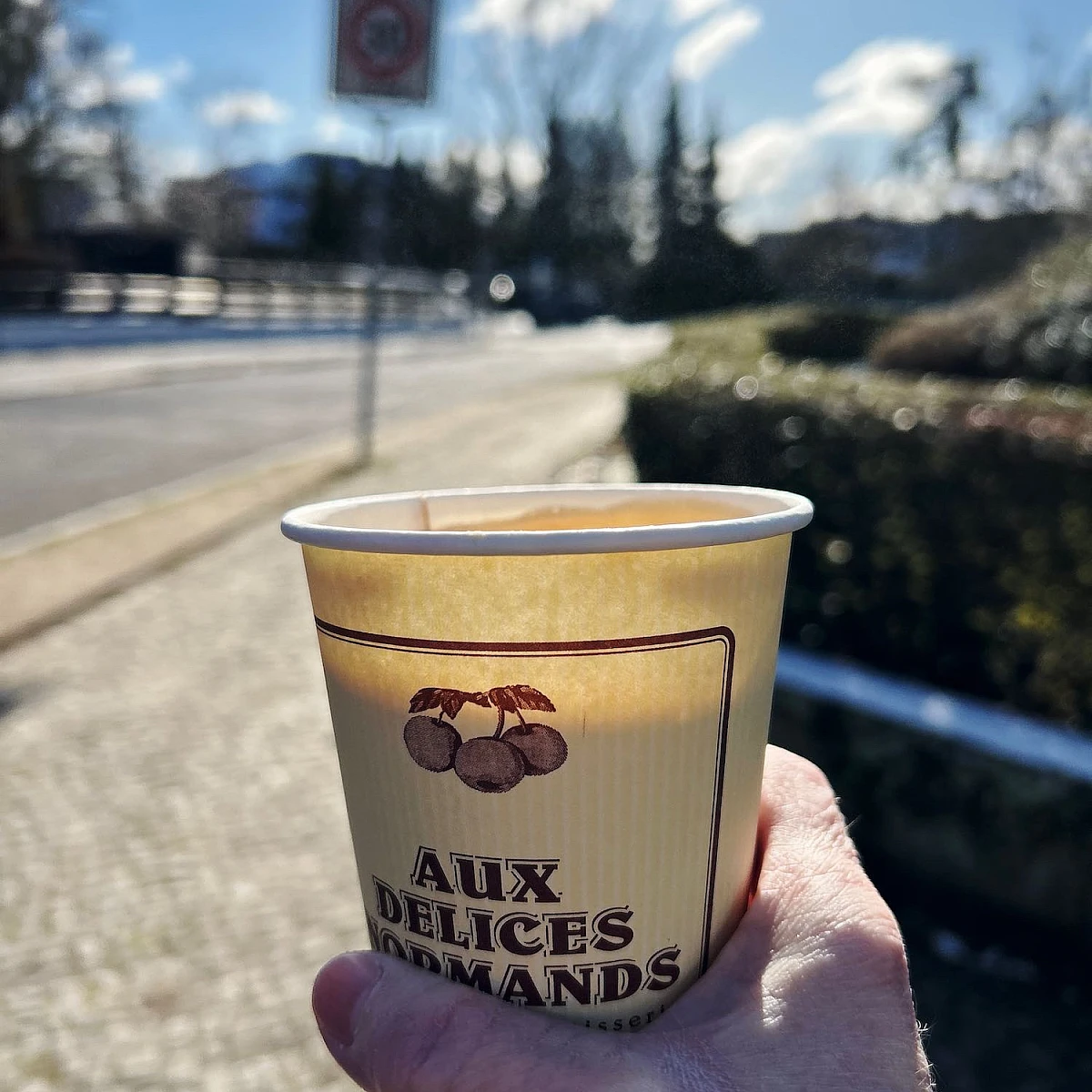 Winterliche Runde durch den Thielpark