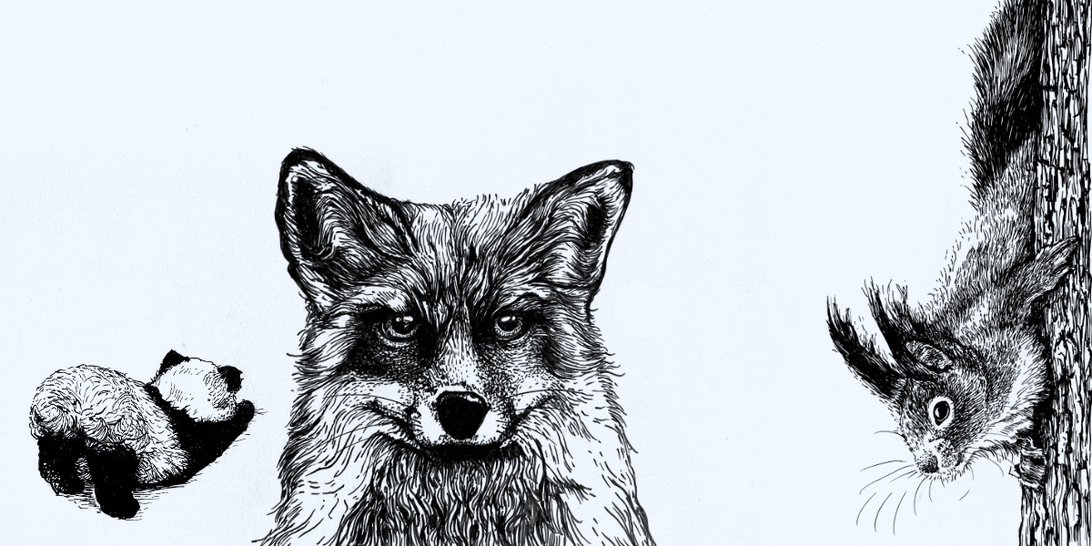 Drei Tintezeichnungen auf hellblauem Hintergrund. Ein kleiner Papa, ein Fuchs und ein Eichhörnchen.