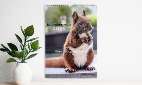 Illustration: Der Kalender hängt an einer Wand. Darunter ein Tisch mit einer Pflanze.