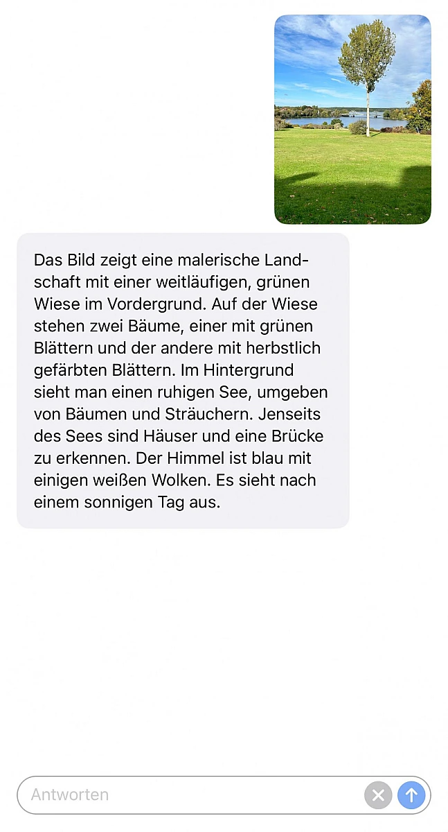 Screenshot: rechts oben eine Landschaftsaufnahme, darunter der beschreibende Text, darunter ein Eingabefeld über das man der KI weitere Fragen stellen kann.