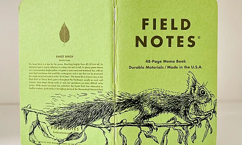 Ein grünes Notizbuch steht aufgeklappt auf einer hellen Oberfläche. Über den Rücken erstreckt sich die Zeichnung eines Eichhörnchens, das auf einem Ast läuft.