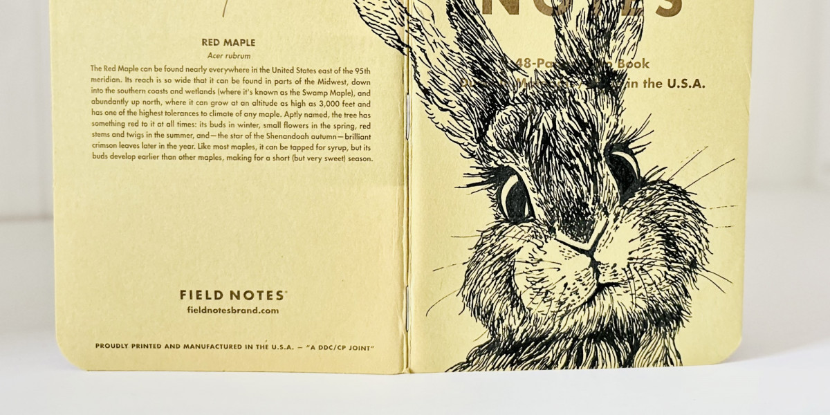 Auf dem Rücken des aufgeklappten Heftes ist eine schwarzweisse Tintenzeichnung eines Hasenkopfes zu sehen.