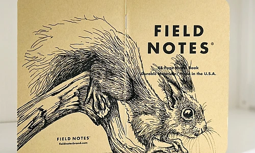 Ein aufgeklapptes Field Notes Heft. Über den Rücken erstreckt sich die schwarze Tintezeichnung eines Eichhörnchens, das von links nach rechts auf einem Ast sitzt.