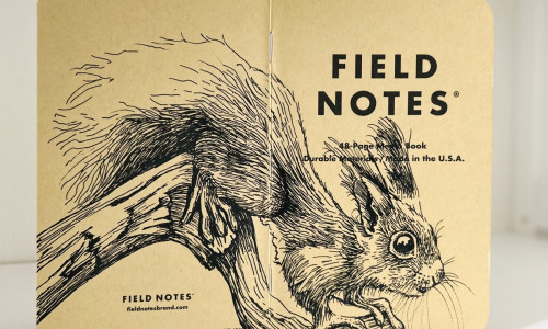 Ein aufgeklapptes Field Notes Heft. Über den Rücken erstreckt sich die schwarze Tintezeichnung eines Eichhörnchens, das von links nach rechts auf einem Ast sitzt.