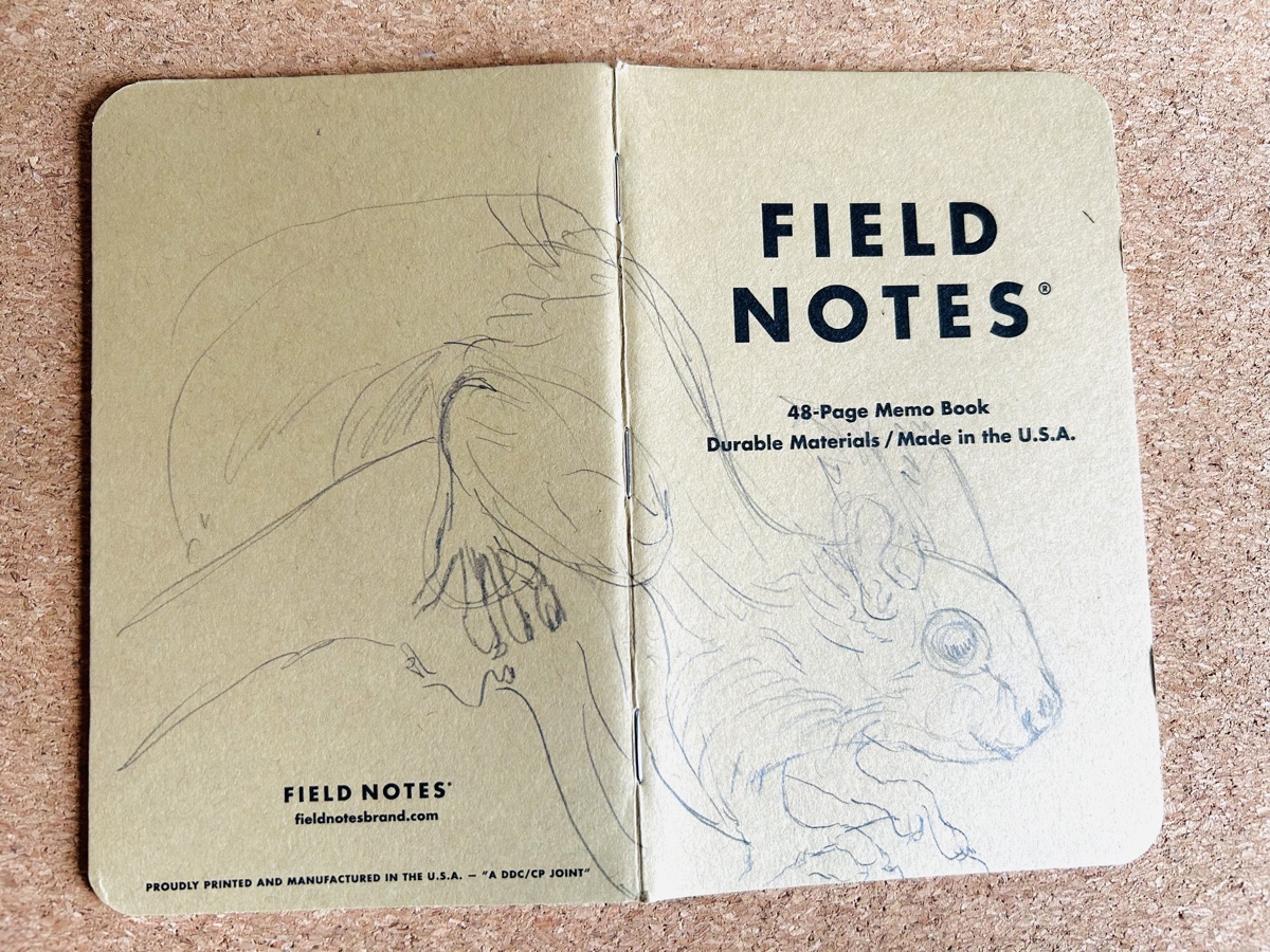 Ein aufgeklapptes Field Notes Heft liegt auf einer Kork-Unterlage. Auf dem Rücken ist die Vorzeichnung zu sehen, die mit Bleistift gezeichnet wurde.