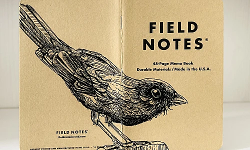 Foto eines stehenden und aufgeklappten Field Notes Heftes. Über den Rücken erstreckt sich die schwarze Tintezeichnung einer Amsel, die nach rechts schaut.